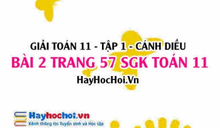 Giải bài 2 trang 57 Toán 11 tập 1 SGK Cánh Diều